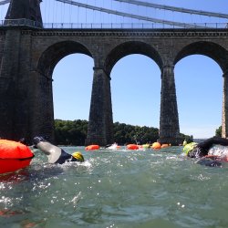 Castle to Castle Swim - Friday 28th August 2026
