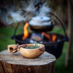 Wild Tea Ceremony, Plant Spirit Meditation + Watercolours 