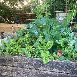 Hot Bed Growing Workshop @ St. Francis Food Forest