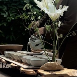 Tea Ceremony & Sound Journey at Quinta Mazatlán