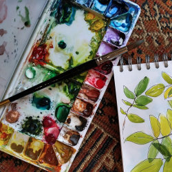 Paint palette and brush