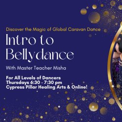 Intro to Global Caravan Bellydance with Misha Thursdays 6:30 pm Sarasota Florida or virtually online