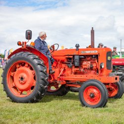 Haddington Show 2026