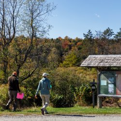 Guided Short Trail Hike