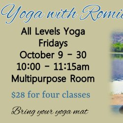 All Levels Yoga - Fridays