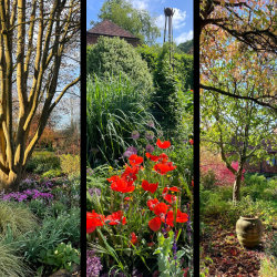 Spring, Summer and Autumn at Bates Green
