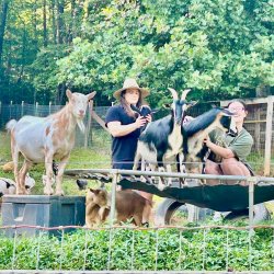 Learn about Goats Tour