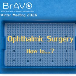 BrAVO Winter Conference 2026 - Ophthalmic surgery; How To...?