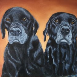 6 Week Pet Portrait Acrylics Course