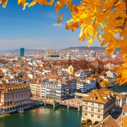 Melody of the Molecules™ - Switzerland