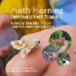 Moth Morning - Alice Park Community Garden