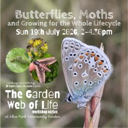 Butterflies, Moths and Growing for the Whole Insect Lifecycle - The Garden Web of Life Workshop Series