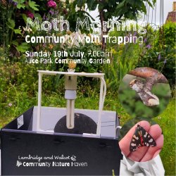 Moth Morning - Alice Park Community Garden