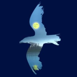 The Seagull