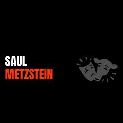 PRIMETIME EMMY NOMINATED FILM & TELEVISION DIRECTOR SAUL METZSTEIN | SCREEN-ACTING WORSKHOP