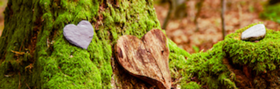 September Thoughtshop: Poetry of Persevering: Writing into the Pain of the World