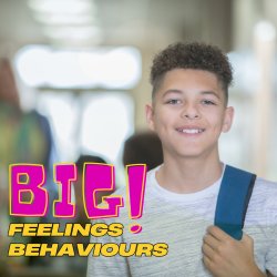 Big Feelings, Big Behaviour, and Regulation | Mental Health Training NZ
