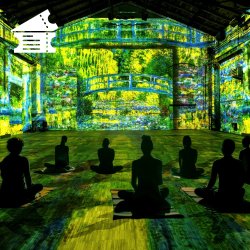 Immersive Yoga Flow