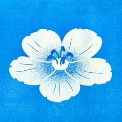 Printmaking with Cyanotype