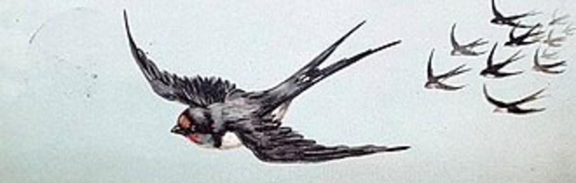 Painting of swallows flying