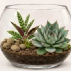 Terrarium Globe Workshop