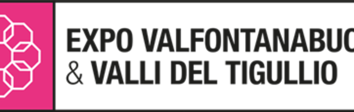 VALFONTANABUONA- BORZONASCA - Visite guidate alla centrale idroelettrica di S.Michele e all'Abbazia di Borzone