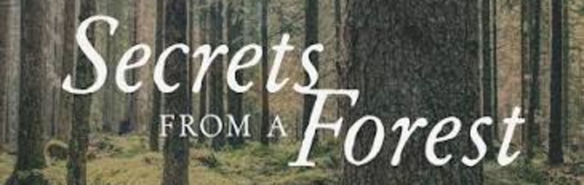 SECRETS FROM A FOREST: An Immersive Journey Through Nature, Art and Music