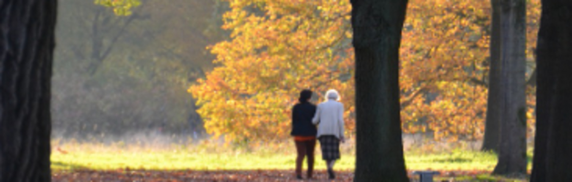 Walking Through Grief