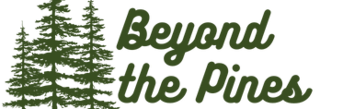 Beyond the Pines fundraising Gala 2025