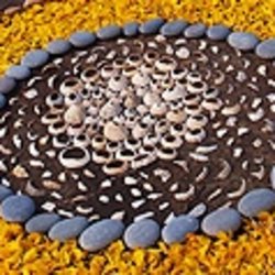 Creative Mindfulness: Watering Seeds of Creativity and Joy