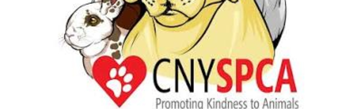 Professionals Under 40 Night at CNYSPCA