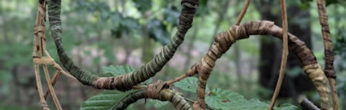 Introduction to Natural Weaving & Foraging Walk