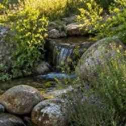 Creating Drought-Tolerant Microhabitats
