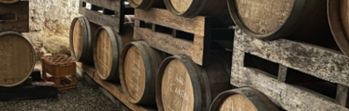 Terroir Wines - Wine Tasting
