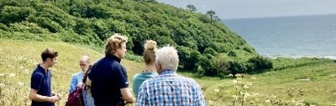 Meadow Walk & Talk for Families