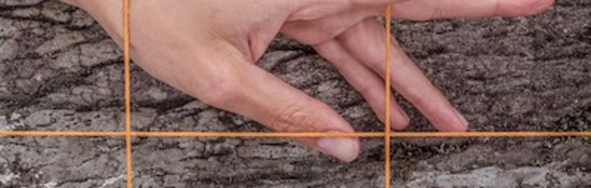 A hand in a grid over wood