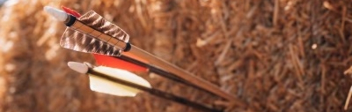 Bow-Making Workshop (2 Day Intensive)