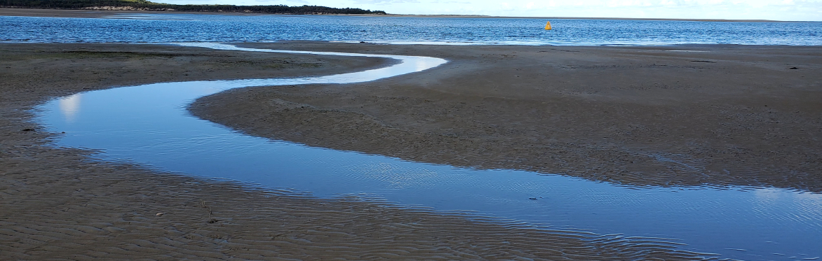 ocean
