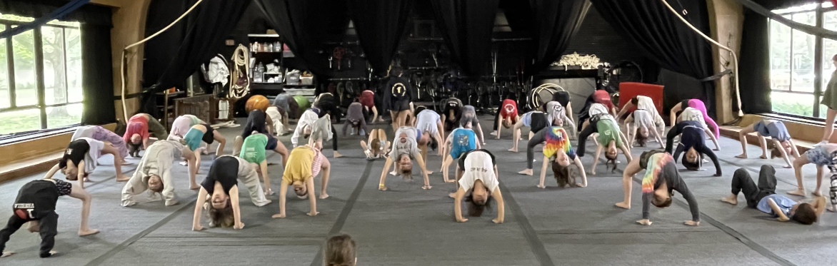 Session 1 Camp Show: Animal Heroes