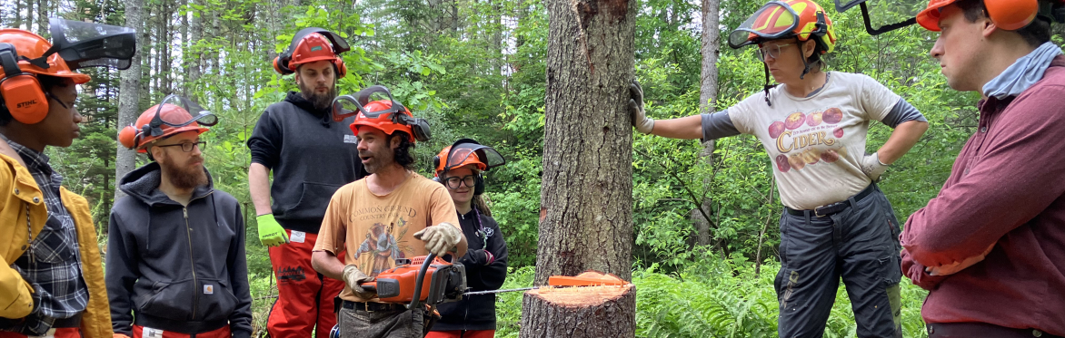 Open-to-All Chainsaw Safety - Canceled