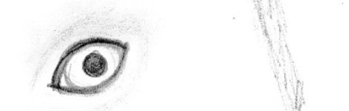 An Illustration Of A Hare's Eye