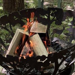 Bushcraft Skills day