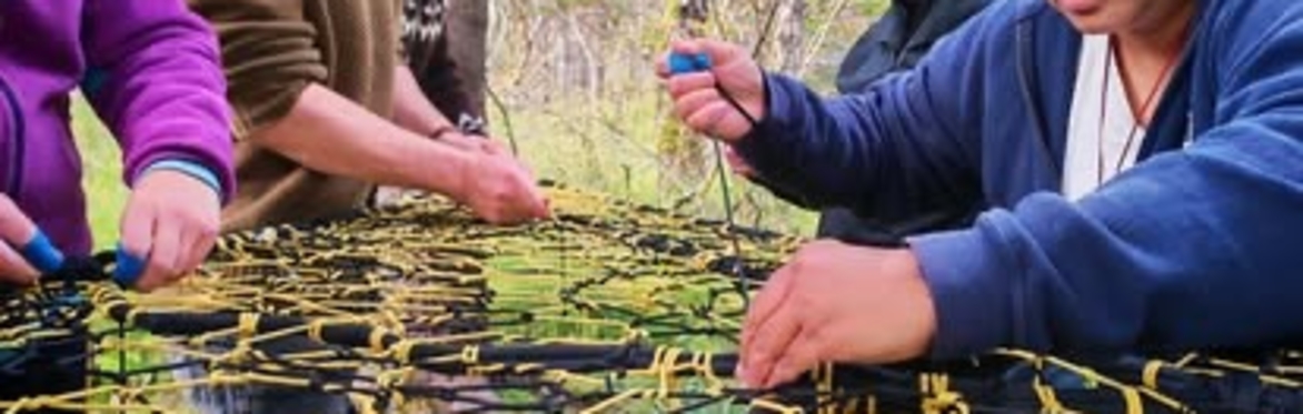 Tree Net course