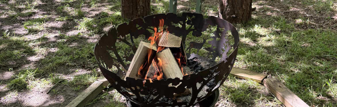 Bushcraft Skills day