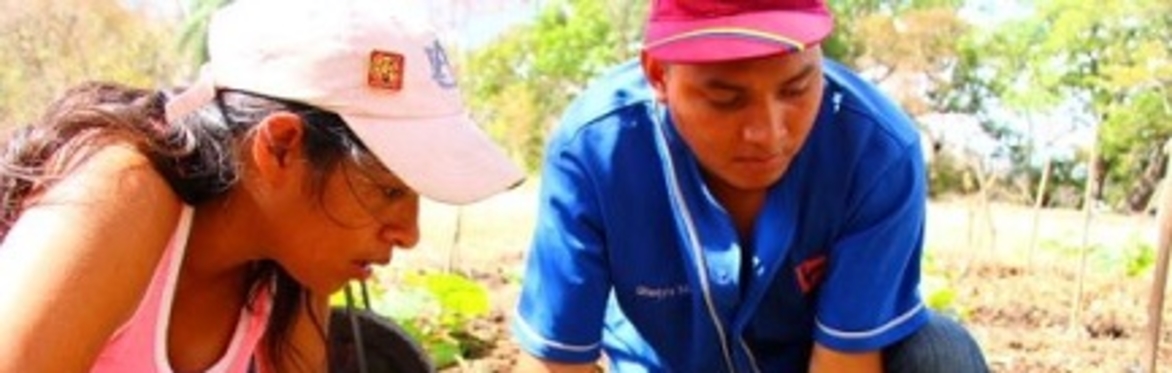 Joint NSCAG/NSC webinar: What difference has 14 years of Sandinista government made?
