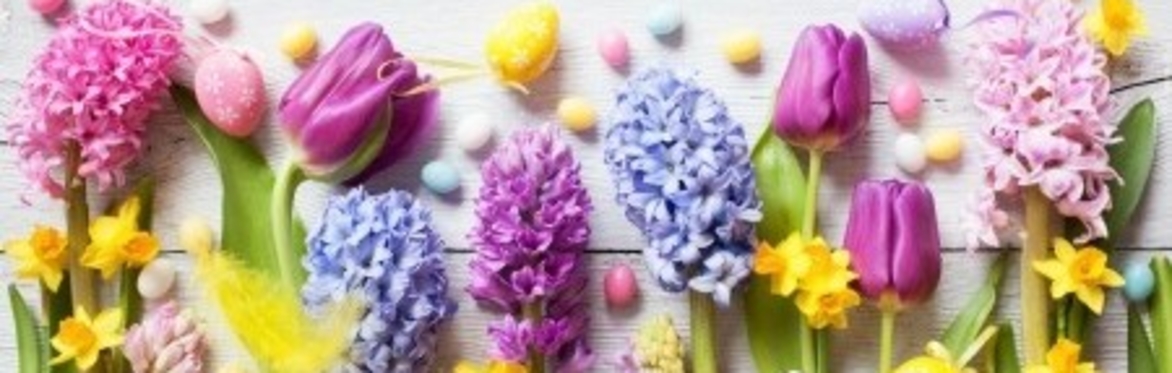Spring Renewal - A Magical Afternoon for Women with Alexandra Jones & Angie Latham