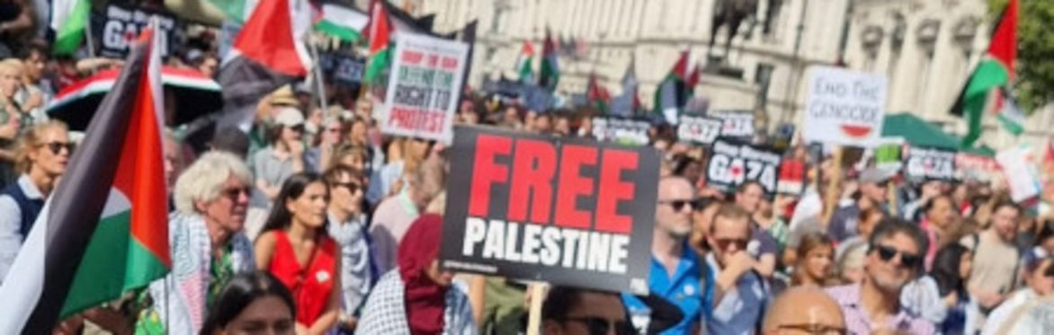 National March for Palestine. End the Genocide