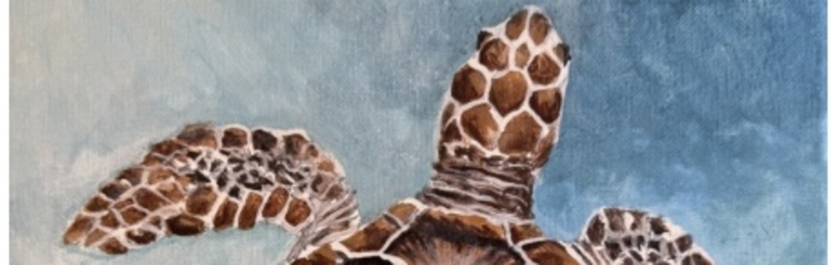 LowCountry Loggerhead