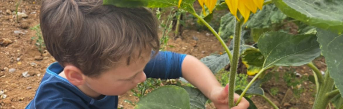 Scavenger hunt- Junior picking