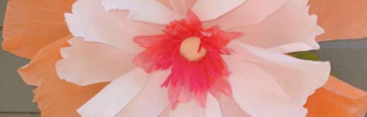 Paper Flowers Workshop